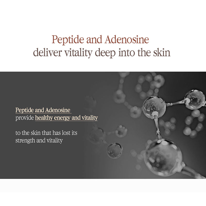 Black Tea Boosting Serum - koreanblossom