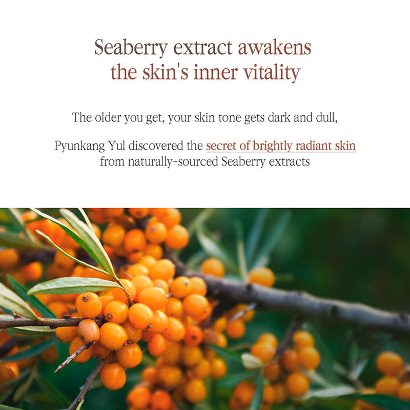 Black Tea Boosting Serum - koreanblossom