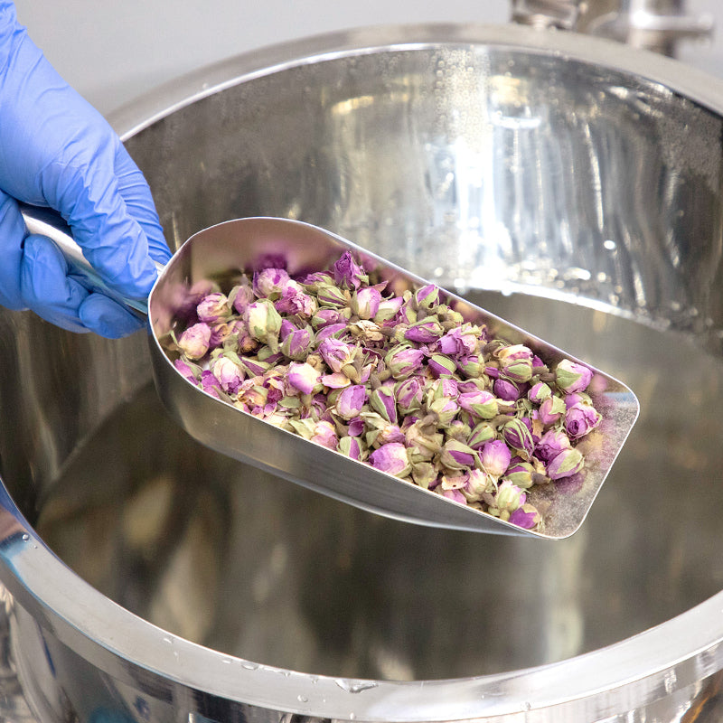 Reviving Rose Infusion Serum - koreanblossom