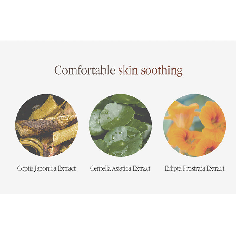 Black Tea Enriched Cream - koreanblossom