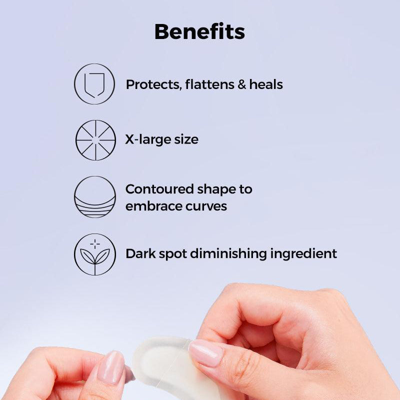 Master Patch X-Large - koreanblossom