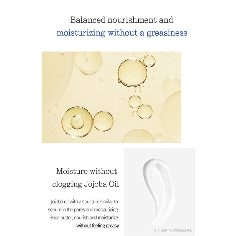 Moisture Cream - koreanblossom