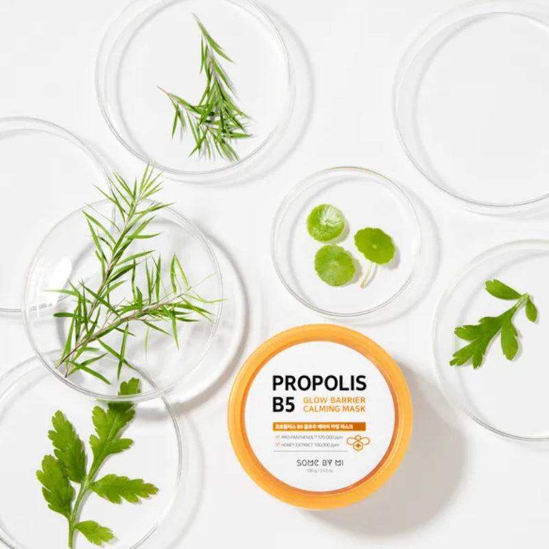 Propolis B5 Glow Barrier Calming Mask - koreanblossom
