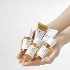 Madagascar Centella Travel Kit - koreanblossom