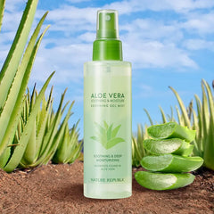 Aloe Vera Soothing Gel Mist - koreanblossom